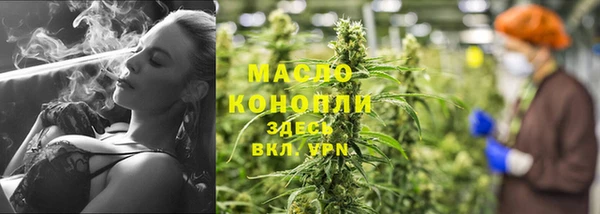 гашик Гусев