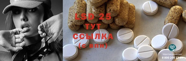 гашик Гусев