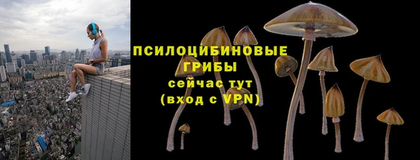 дмт Гусиноозёрск