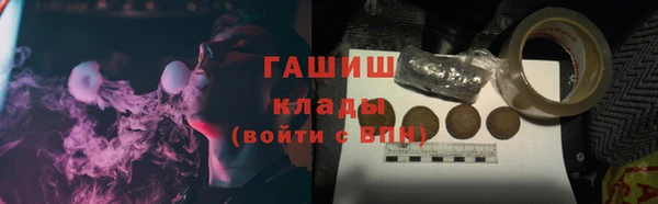 прущие грибы Гусь-Хрустальный