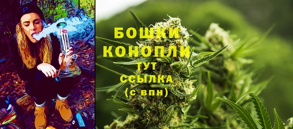 прущие грибы Гусь-Хрустальный
