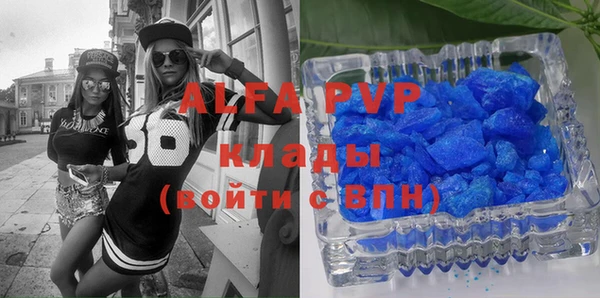 гашик Гусев