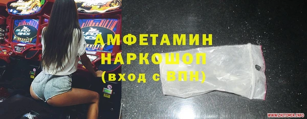 гашик Гусев